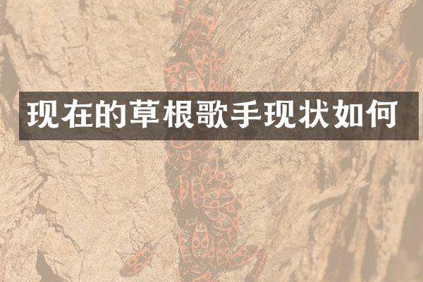 现在的草根歌手现状如何