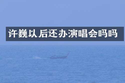 许巍以后还办演唱会吗吗