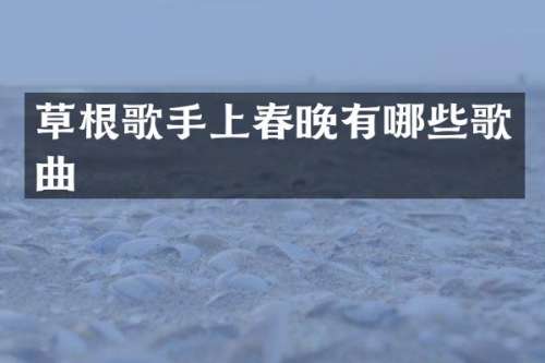 草根歌手上有哪些歌曲