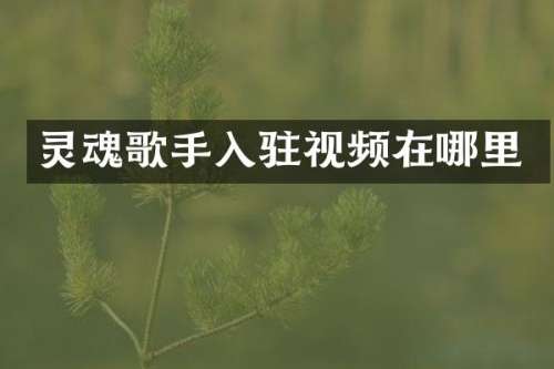 灵魂歌手入驻视频在哪里