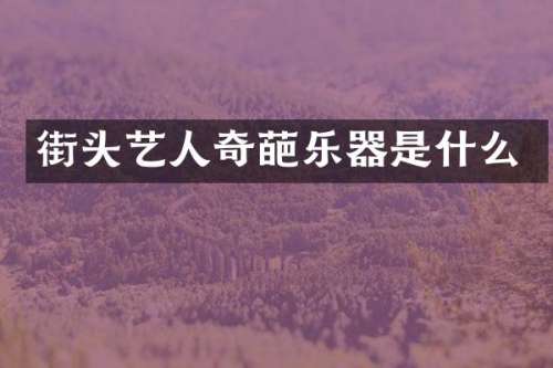 街头艺人奇葩乐器是什么
