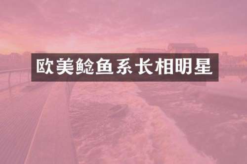 欧美鲶鱼系长相明星