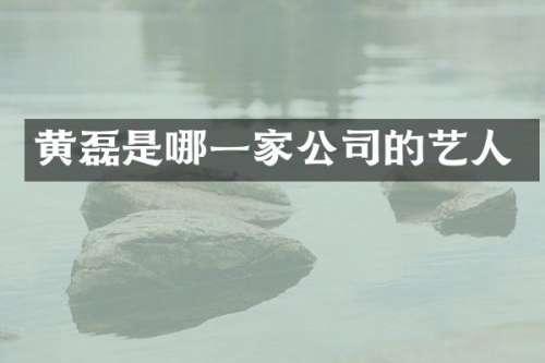 黄磊是哪一家公司的艺人