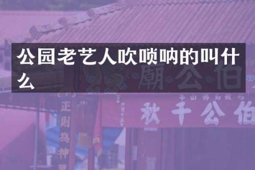 公园老艺人吹唢呐的叫什么