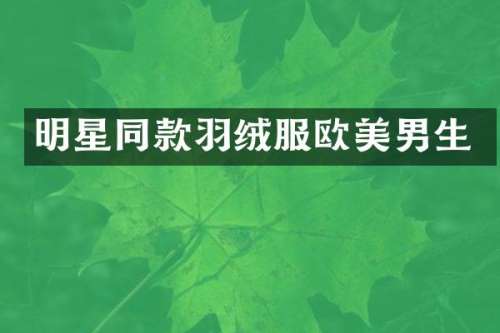 明星同款羽绒服欧美男生