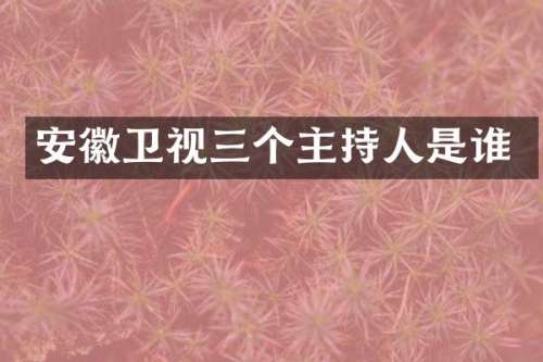 安徽卫视三个主持人是谁