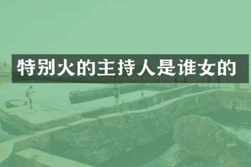 特别火的主持人是谁女的