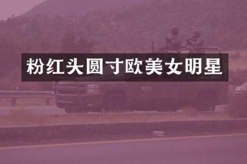 粉红头圆寸欧明星