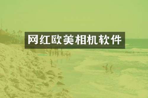 网红欧美相机软件