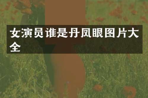 女演员谁是丹凤眼图片大全