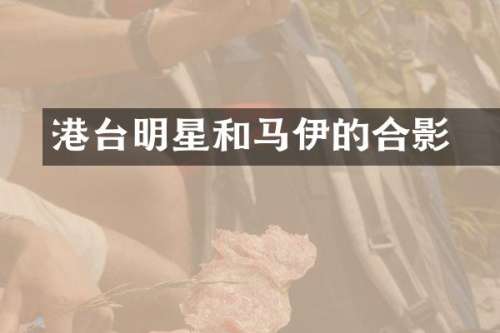 港台明星和马伊琍的合影
