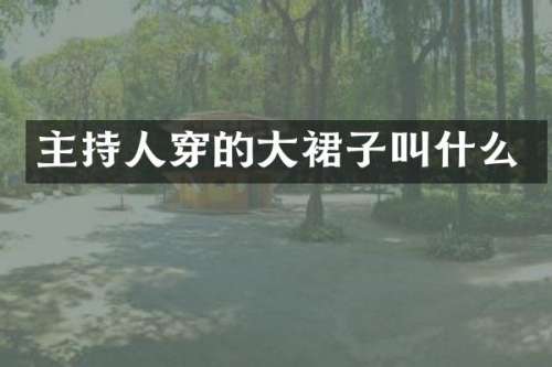 主持人穿的大裙子叫什么