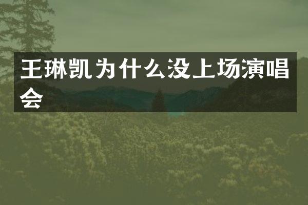 王琳凯为什么没上场演唱会