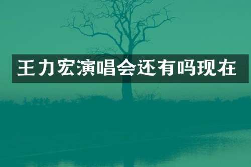王力宏演唱会还有吗现在