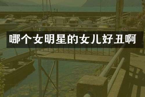 哪个女明星的女儿好丑啊