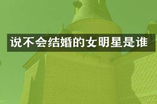 说不会结婚的女明星是谁