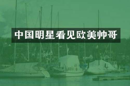 中国明星看见欧美帅哥