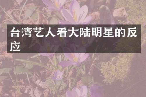 台湾艺人看大陆明星的反应