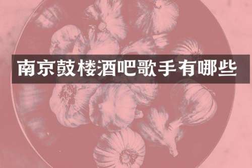 南京鼓楼酒吧歌手有哪些