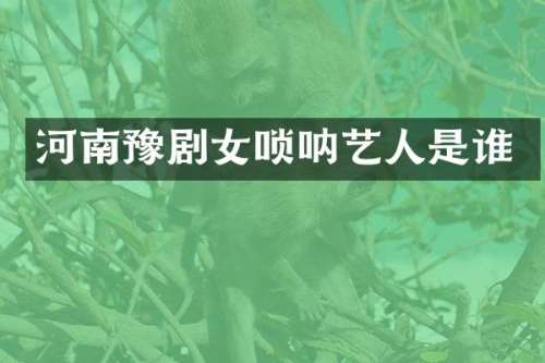 河南豫剧女唢呐艺人是谁