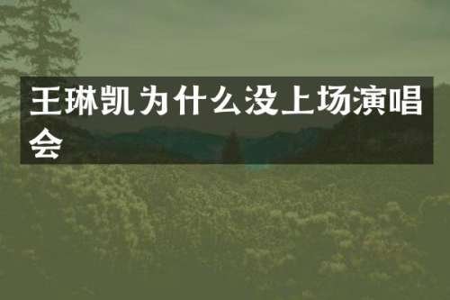 王琳凯为什么没上场演唱会