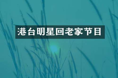 港台明星回老家节目