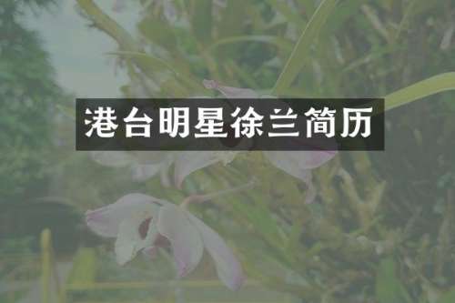 港台明星徐兰简历