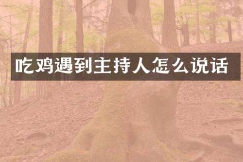 吃鸡遇到主持人怎么说话