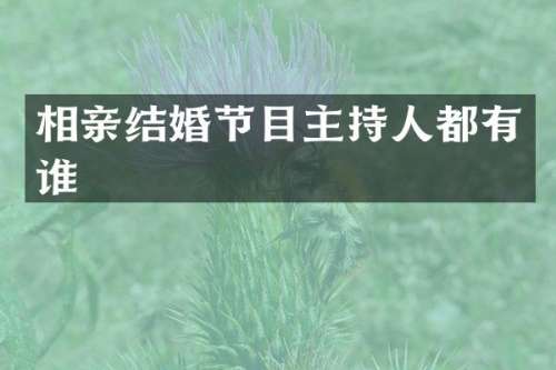 相亲结婚节目主持人都有谁