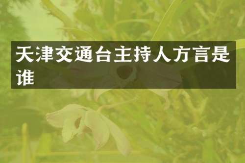 天津交通台主持人方言是谁