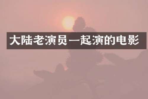 大陆老演员一起演的电影