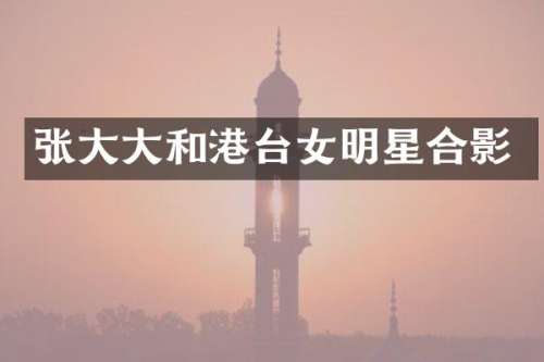 张大大和港台女明星合影