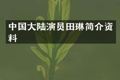 中国大陆演员田琳简介资料