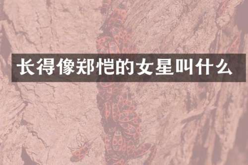 长得像郑恺的女星叫什么