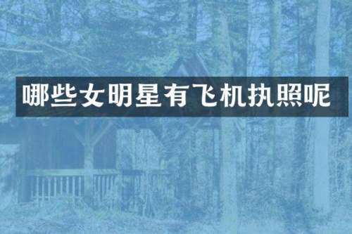 哪些女明星有飞机执照呢