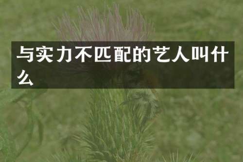 与实力不匹配的艺人叫什么
