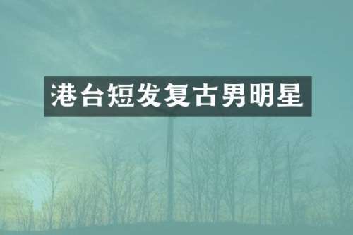 港台短发复古男明星