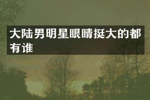 大陆男明星眼睛挺大的都有谁