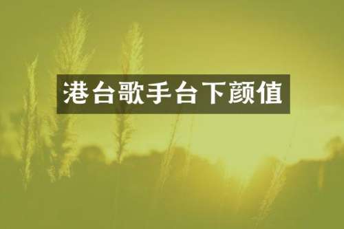 港台歌手台下颜值