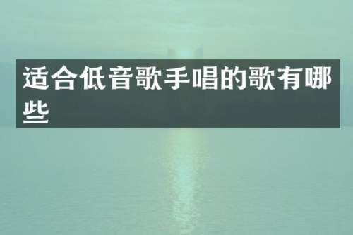 适合低音歌手唱的歌有哪些