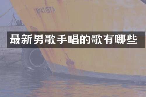最新男歌手唱的歌有哪些