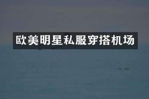 欧美明星穿搭机场