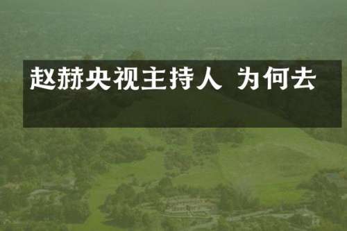 赵赫央视主持人 为何去世
