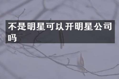 不是明星可以开明星公司吗