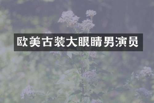 欧美古装大眼睛男演员