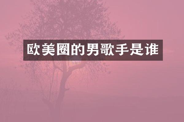 欧美圈的男歌手是谁