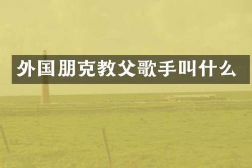 外国朋克教父歌手叫什么