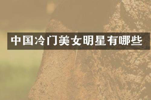 中国冷门明星有哪些