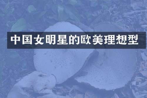 中国女明星的欧美理想型