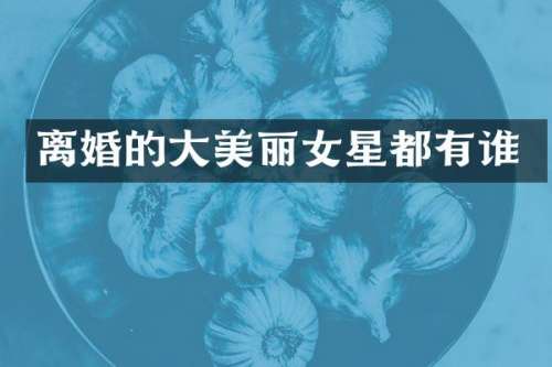 离婚的大美丽女星都有谁